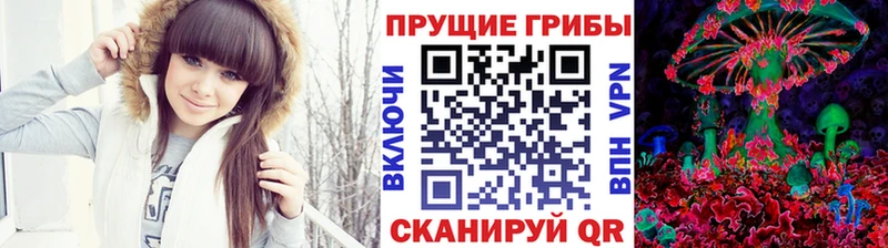 Псилоцибиновые грибы прущие грибы  нарко площадка официальный сайт  Брюховецкая 